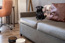  - Residence Inn by Marriott Downtown Austin - I-35, Exit 234B