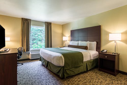  - Cobblestone Hotel & Suites Harborcreek Erie