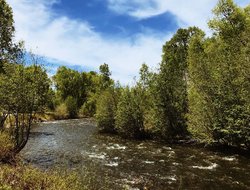  - Elkhorn Lodge Chama