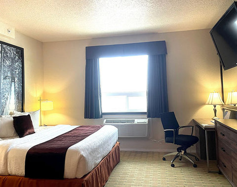 Standard Room King Bed