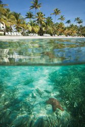  - WorldMark Elysian Beach Resort St Thomas