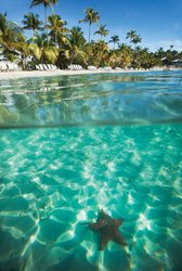  - WorldMark Elysian Beach Resort St Thomas