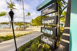  - WorldMark Elysian Beach Resort St Thomas