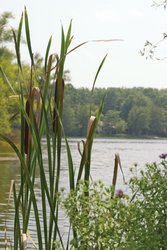  - Club Wyndham Resort at Fairfield Glade