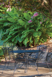  - Wyndham Resort at Fairfield Mountains Lake Lure