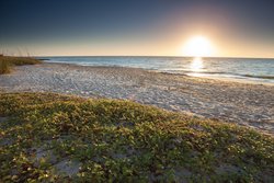  - Club Wyndham Ocean Ridge Resort Edisto Beach