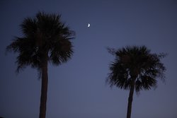  - Club Wyndham Ocean Ridge Resort Edisto Beach