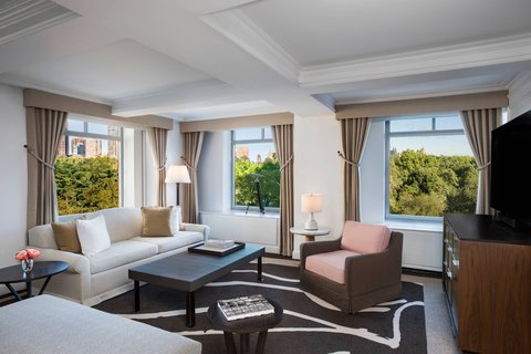 THE RITZ-CARLTON CENTRAL PARK - Photo 30