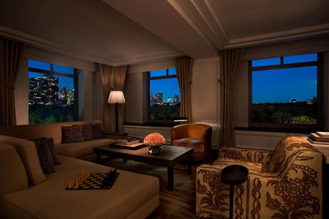 THE RITZ-CARLTON CENTRAL PARK - Photo 21