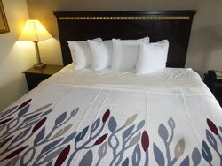  - Red Roof Inn Evergreen - I-65, Exit 96