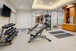  - SpringHill Suites by Marriott Willow Park - I-20, Exit 415