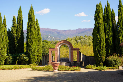 VIESCA TOSCANA - Photo 3