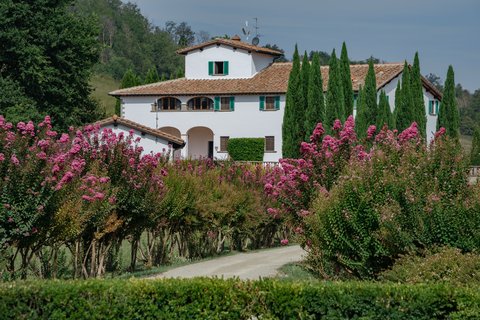 VIESCA TOSCANA - Photo 15