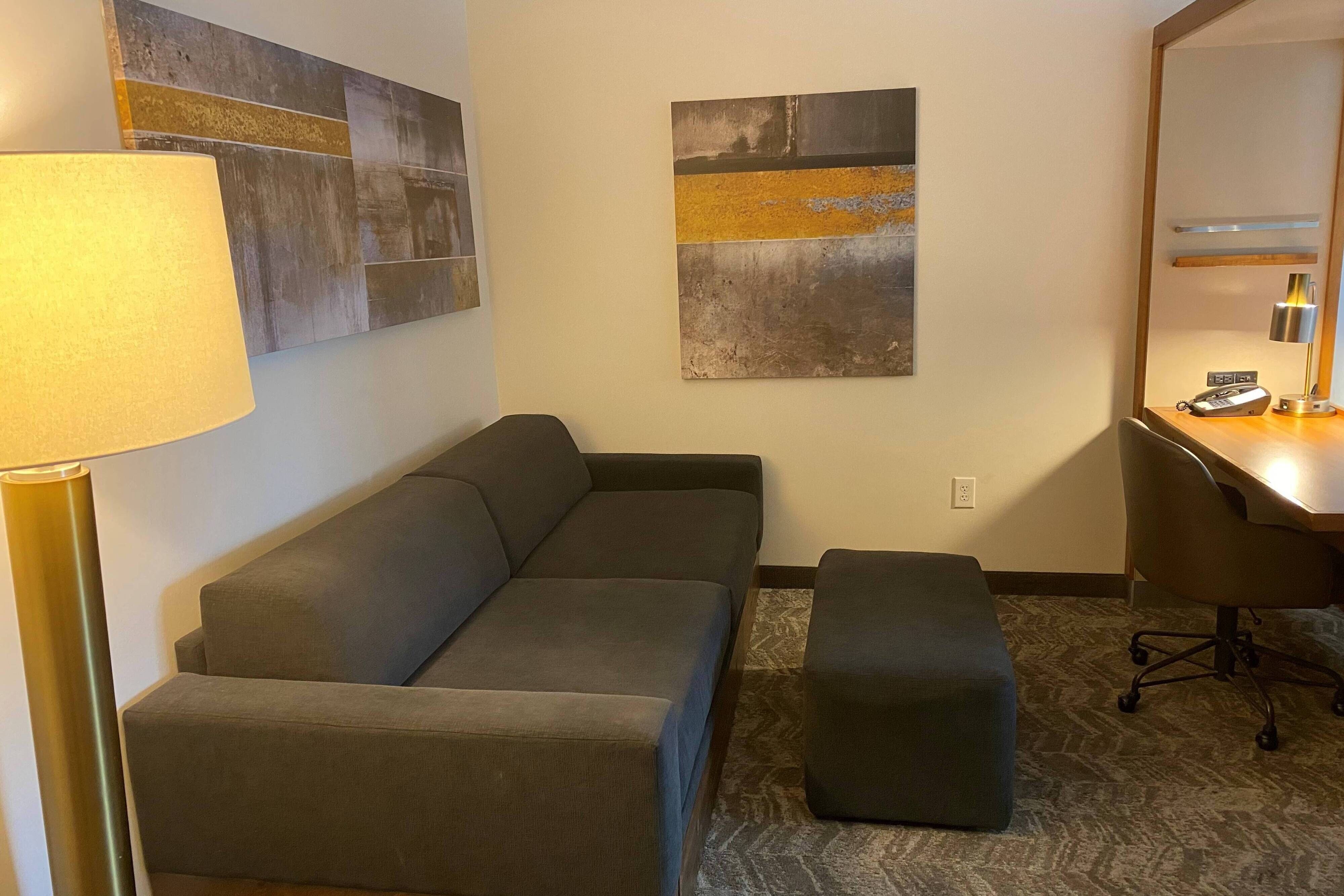 Suite - Living Area
