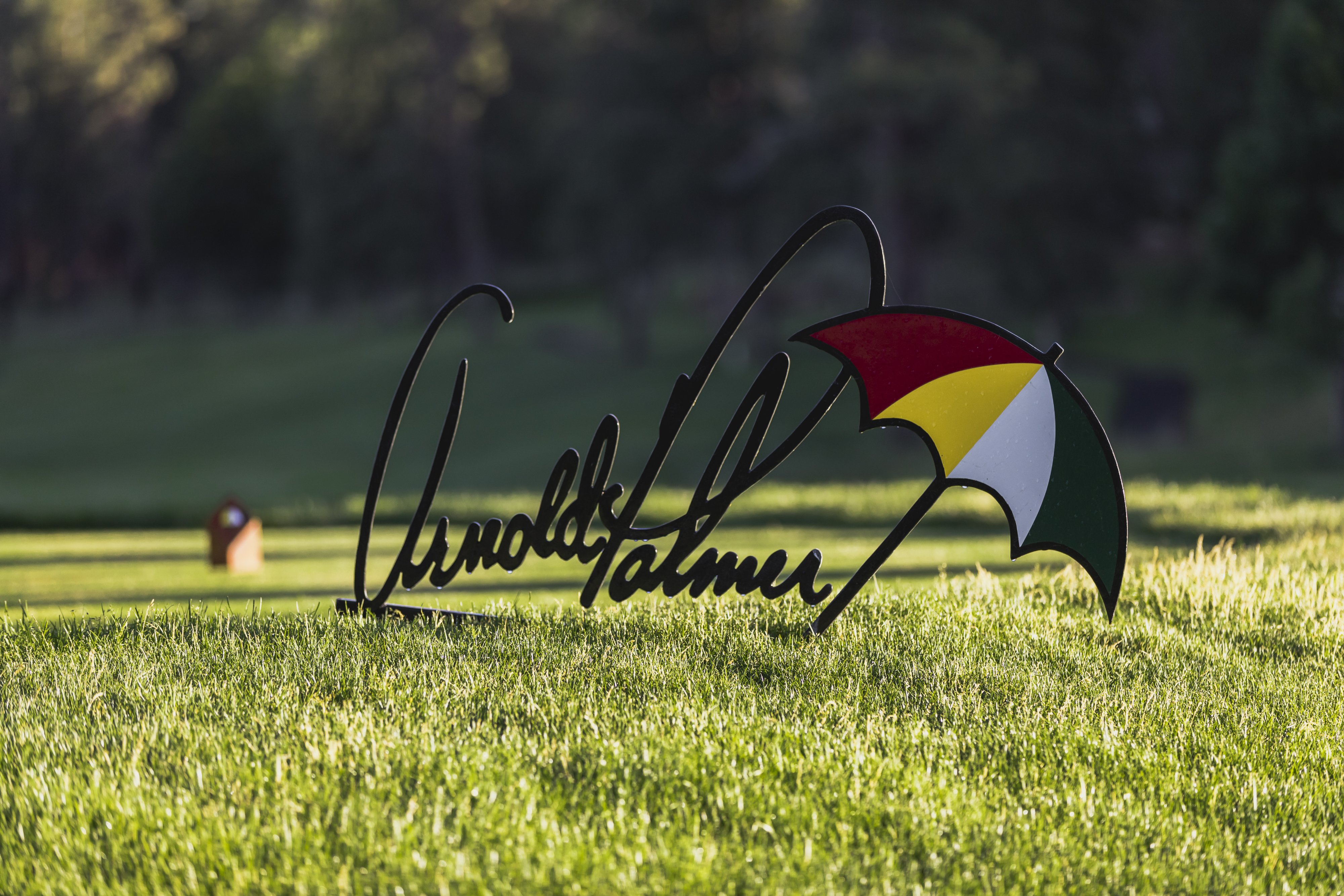 Arnold Palmer Top 16 Signature Golf Course
