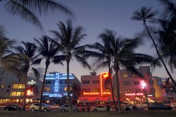  - Kimpton Hotel Palomar South Beach Miami Beach