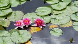  - Kimpton Vero Beach Hotel & Spa