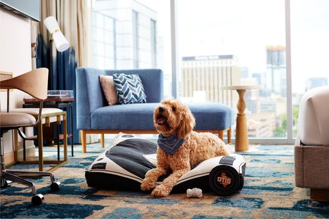 THE OTIS HOTEL AUSTIN - Photo 37