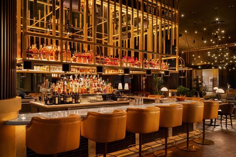 THE OTIS HOTEL AUSTIN - Photo 44