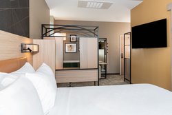  - SpringHill Suites by Marriott Downtown Baltimore