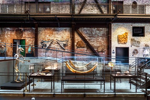 JW MARRIOTT SAVANNAH - Photo 96