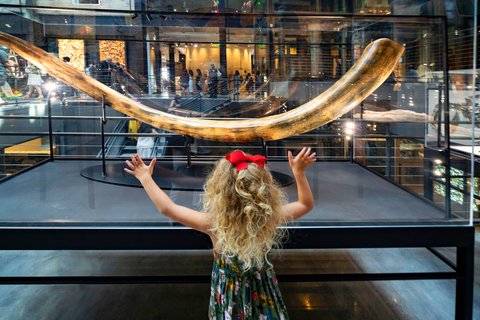 JW MARRIOTT SAVANNAH - Photo 158