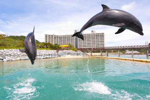 RENAISSANCE OKINAWA RESORT - Photo 95