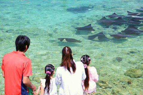 RENAISSANCE OKINAWA RESORT - Photo 96