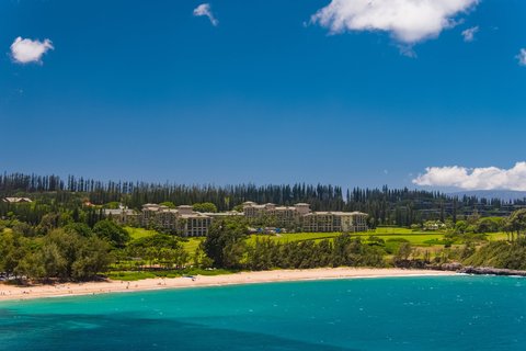 THE RITZ-CARLTON KAPALUA - Photo 3