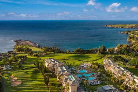 THE RITZ-CARLTON KAPALUA - Photo 13