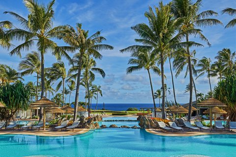 THE RITZ-CARLTON KAPALUA - Photo 146