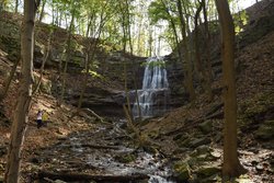  - Staybridge Suites Downtown Hamilton