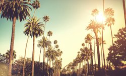  - Kimpton Hotel Wilshire Los Angeles