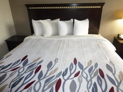  - Red Roof Inn Evergreen - I-65, Exit 96