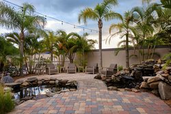  - Courtyard by Marriott Hotel Oldsmar