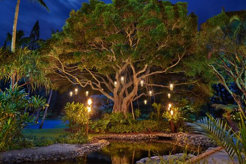 THE RITZ-CARLTON KAPALUA - Photo 109