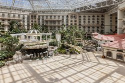  - Gaylord Palms Resort & Spa Kissimmee