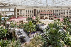  - Gaylord Palms Resort & Spa Kissimmee