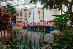  - Gaylord Palms Resort & Spa Kissimmee