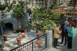  - Gaylord Palms Resort & Spa Kissimmee