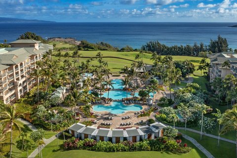 THE RITZ-CARLTON KAPALUA - Photo 15