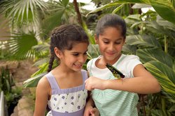  - Holiday Inn Express & Suites Niagara on the Lake