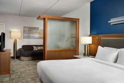  - SpringHill Suites by Marriott Mount Lebanon