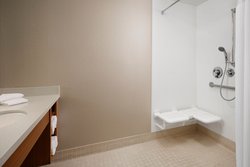  - SpringHill Suites by Marriott Mount Lebanon