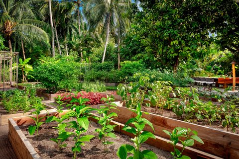 THE ST REGIS MALDIVES VOMMULI - Photo 124