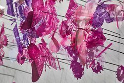  - Edwin Hotel Aquarium Chattanooga