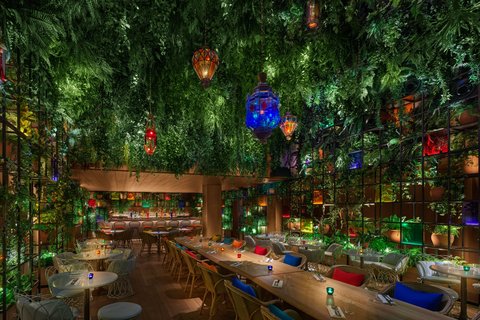 THE MADRID EDITION - Photo 59