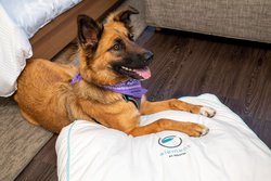  - Element Hotel Downtown Austin - I-35, Exit 234B