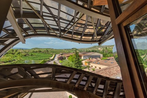 HOTEL MARQUES RISCAL ELCIEGO - Photo 21