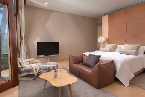 HOTEL MARQUES RISCAL ELCIEGO - Photo 29